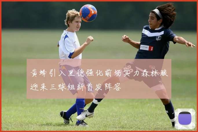 黄蜂引入里德强化前场实力森林狼迎来三球组新首发阵容