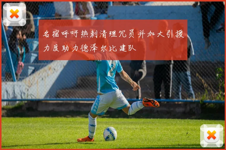 名宿呼吁热刺清理冗员并加大引援力度助力德泽尔比建队